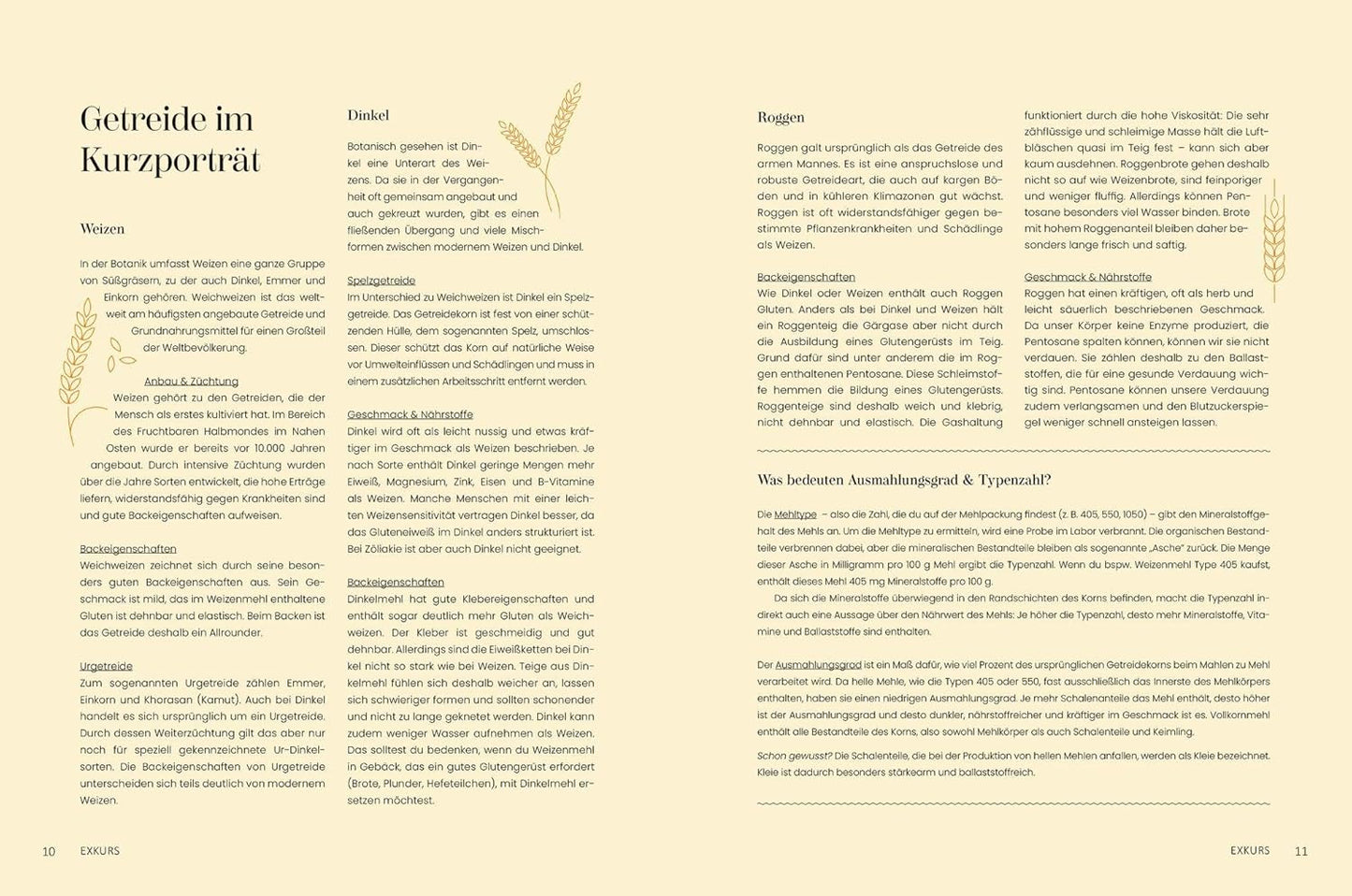 Bake all day – unser Grundlagen-Backbuch